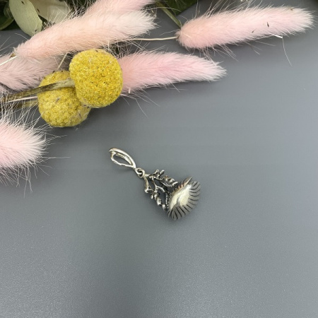 Серебряный кулон Ракушка